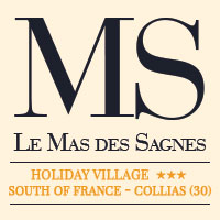 logo Village de Gîtes Le Mas des Sagnes